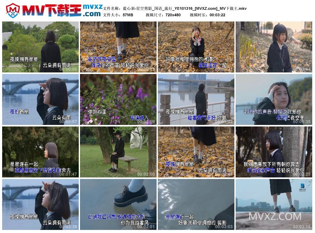 蓝心羽-星空剪影_国语_流行_YE101316